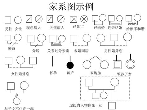 家庭關係圖畫法|如何制作家系图: 14 步骤